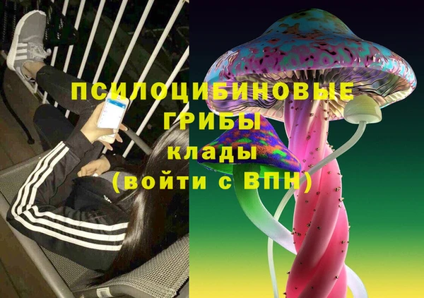 тгк Липки
