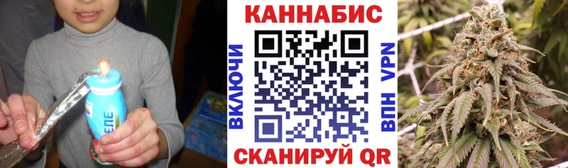 Бошки Шишки план  Трубчевск 